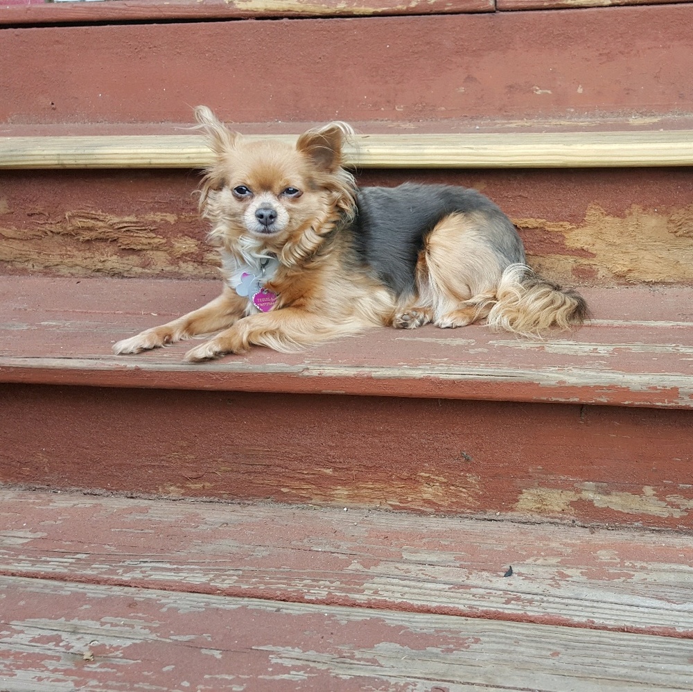 Meet your Posher, Julie